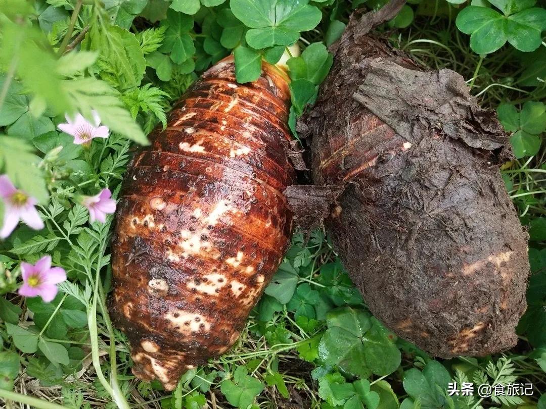 荔浦芋头甜品甜而不腻,家庭简单荔浦芋头的甜品