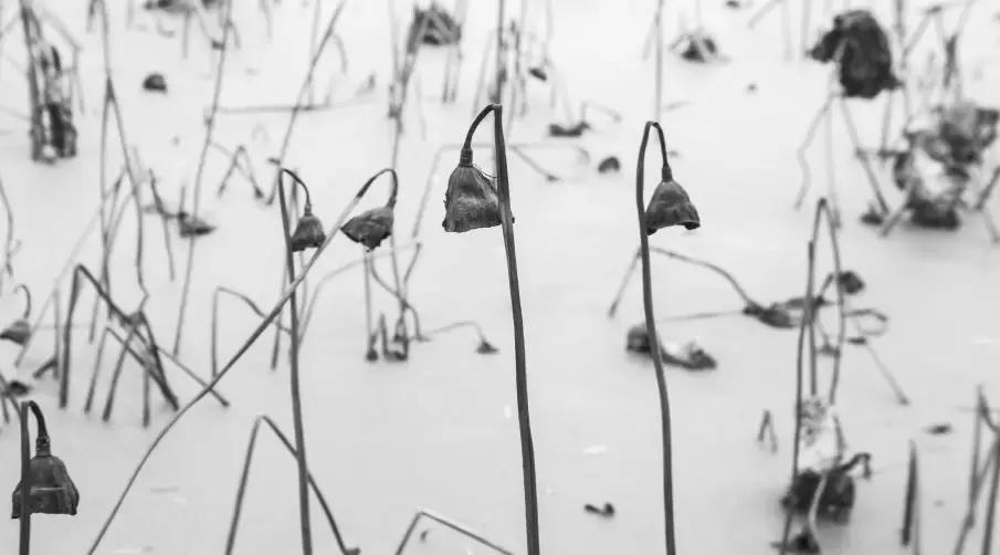 最后8天！代购10支唇膏被罚1800元，但我说电商法直接影响有限