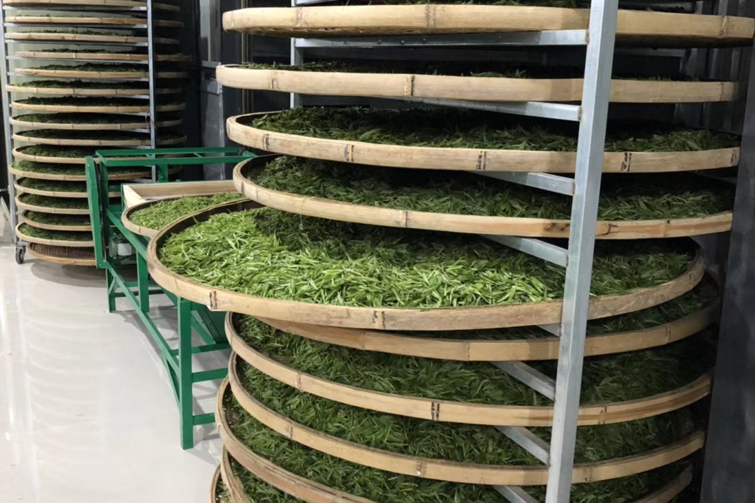 绿茶的味道怎么分辨好坏,绿茶什么汤色最好