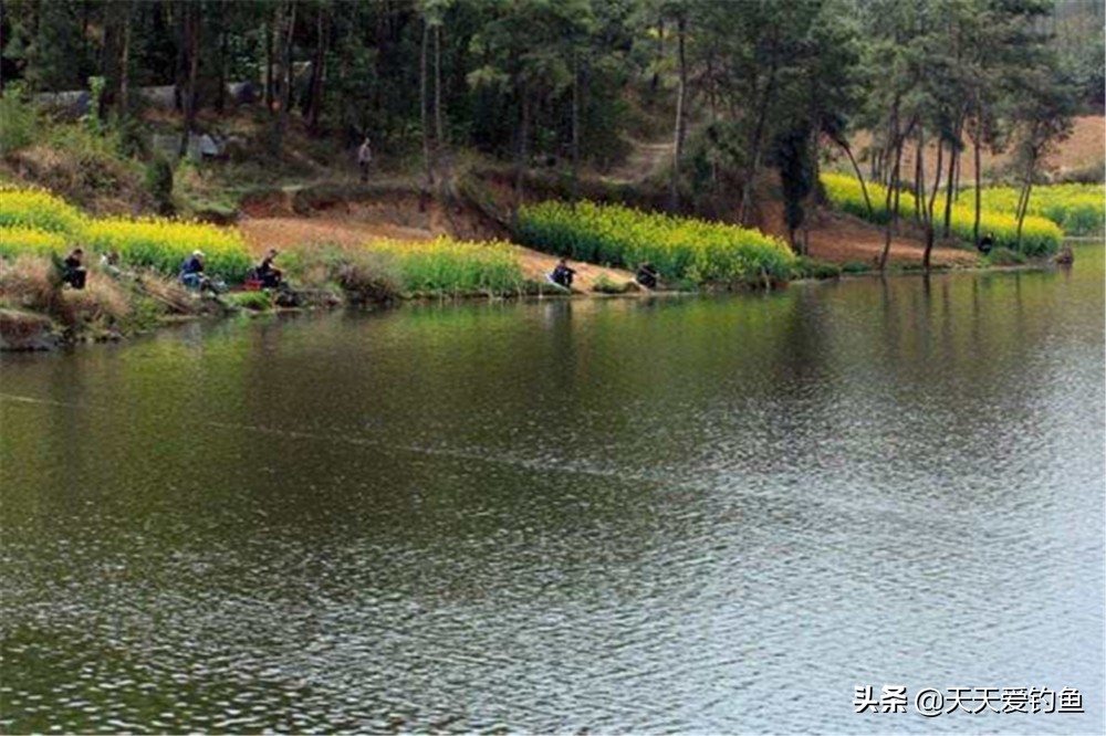 一看就是钓鱼人的网名,不提钓鱼一看就知道钓鱼的网名