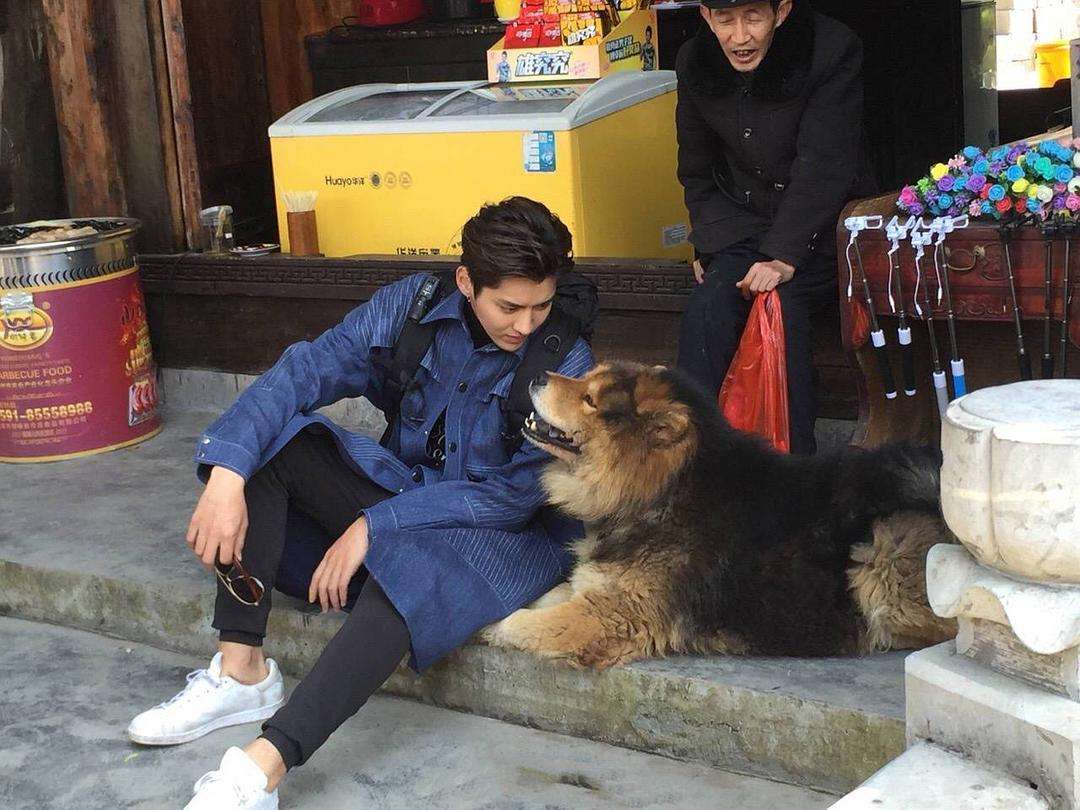 狗狗舔爪子含义什么,狗狗老是舔它的前爪怎么回事