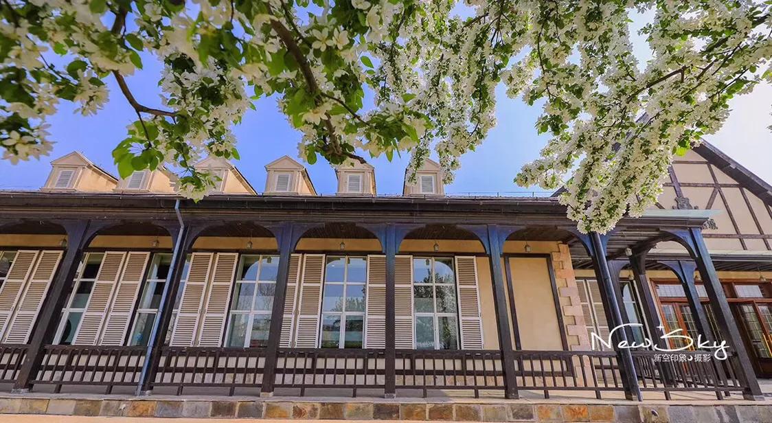 烟台张裕酒庄参观推荐,烟台打卡网红景点月亮湾