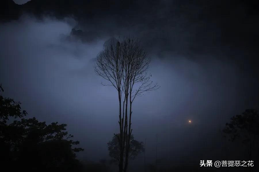 欲望的原则,欲望潜伏期