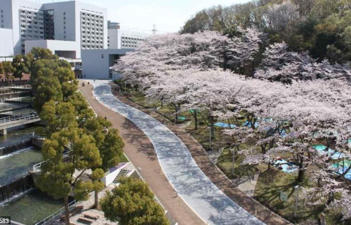 国立中央大学与日本中央大学,日本中央大学好考吗
