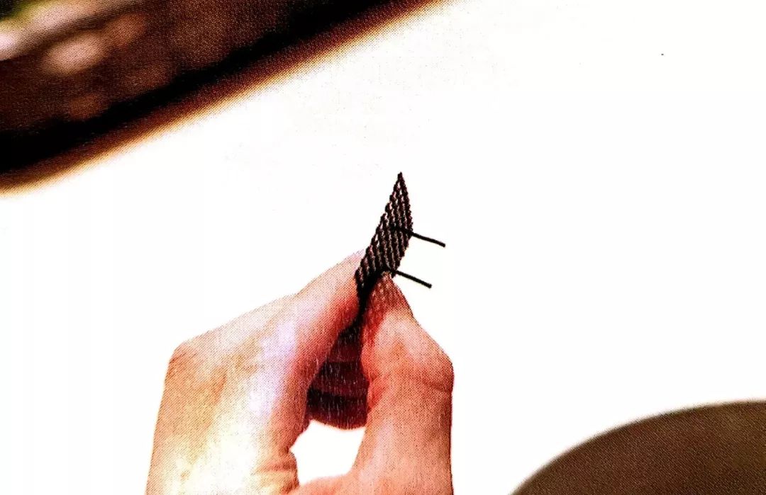 阳台养花垫片大全,去花盆小虫的小窍门