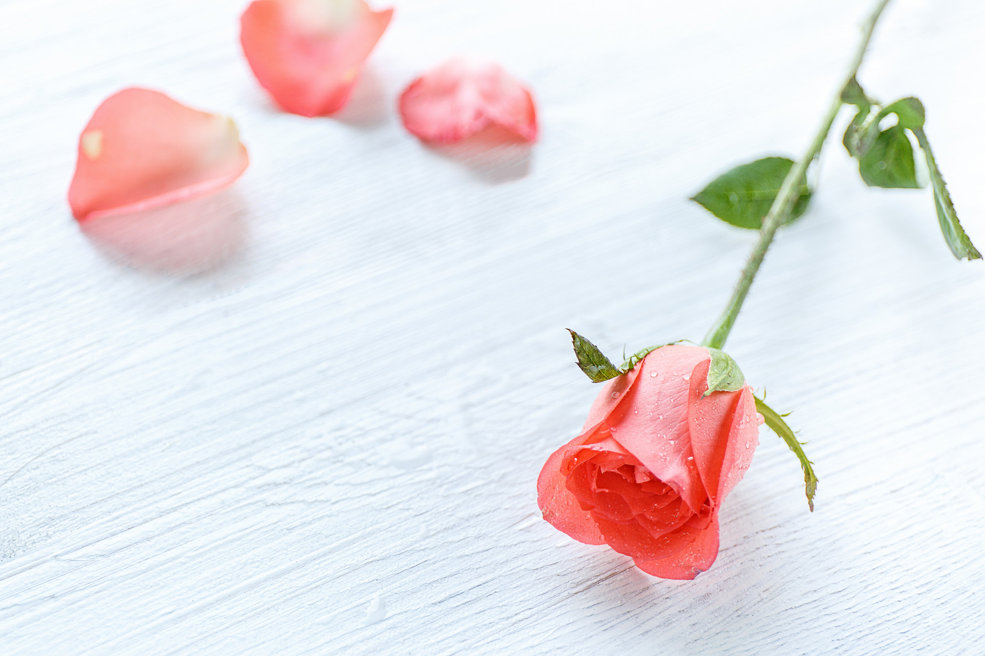 如何化解背叛婚姻困境,怎么才能走出妻子背叛的困境