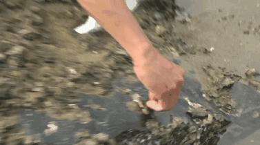 当烧烤遇到西红柿,当烧烤遇到夕阳