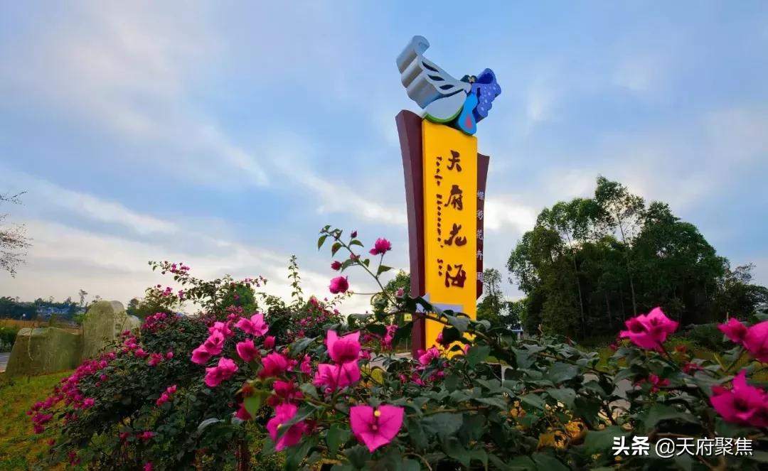 仁寿夏季旅游景区,2020仁寿旅游