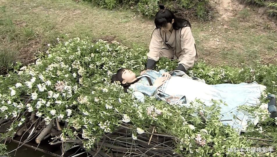 胡歌最经典的四部电视剧,胡歌的四部经典电视剧