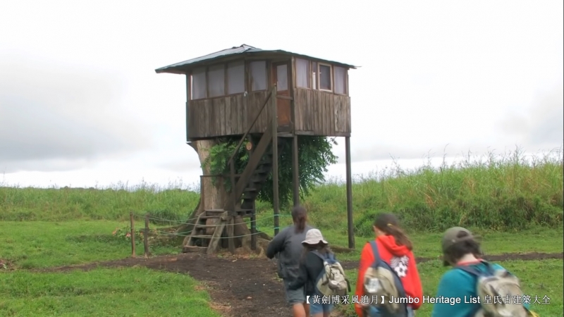 世界上最长寿的象龟多少岁,迄今发现最长寿的龟