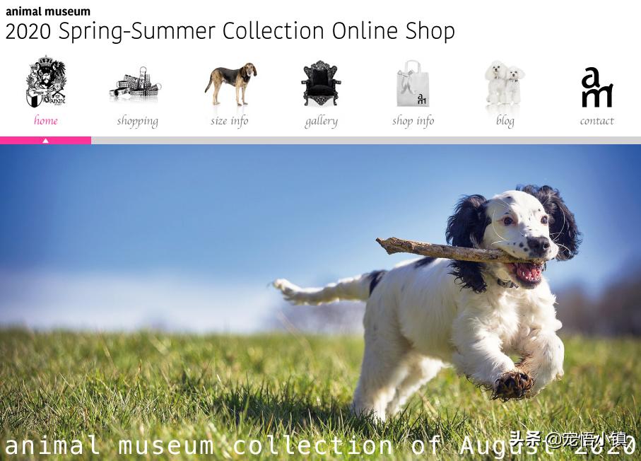 国外最热门宠物网站排名榜,宠物网站排行榜前十名