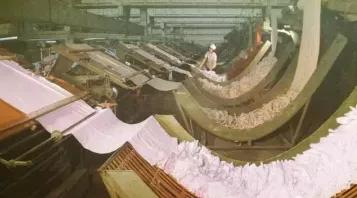 棉五老照片,棉五回忆