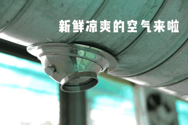 可以去玩的宠物乐园,1000平宠物乐园