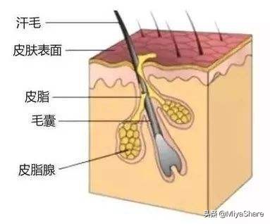 痘肌用洗面奶洗脸是不是长痘,长痘肌应该频繁用洗面奶洗脸吗