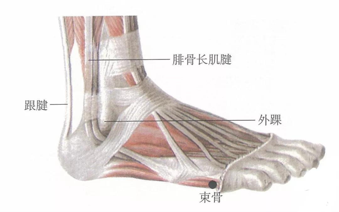 止痛的五输穴,十二输穴一览表