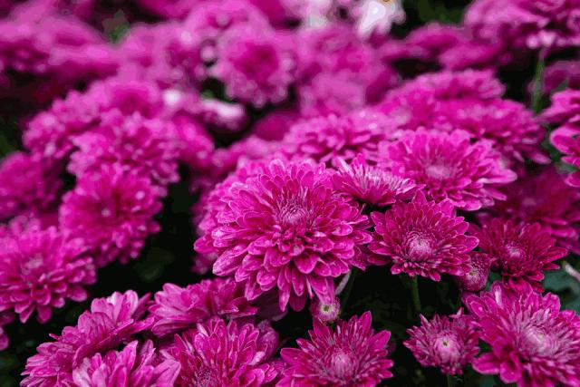 自拍达人全景,南宁自拍拍照博主