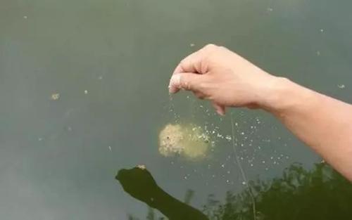 小药用对了是在诱鱼，用错了就是在赶鱼