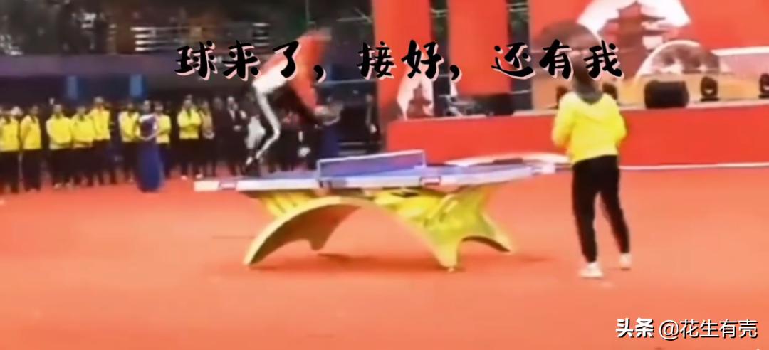 刘诗雯惨败日本无缘8强,17年刘诗雯朱雨玲争议球