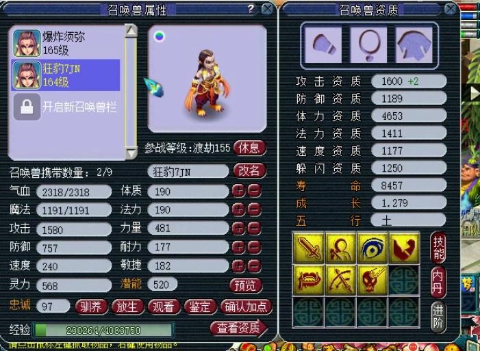 梦幻西游比较牛逼的号,梦幻西游现在最强号