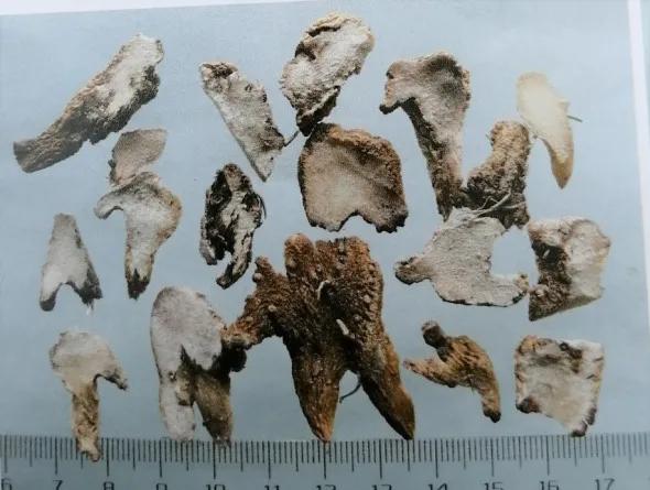 止血收敛的药有哪些,收敛止血中成药有哪些