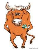 香港苏民峰2019十二生肖运程,2013出生属龙2019运程