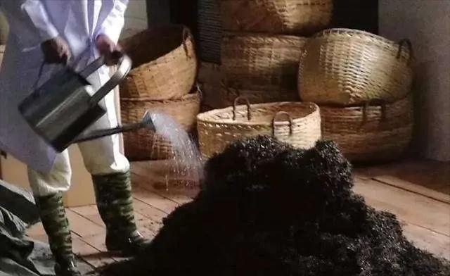 普洱茶变酸味是什么原因,普洱茶喝出酸味的原因及解决办法