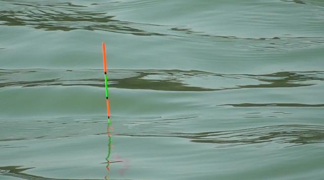 野钓能不能玩转黑坑,作为一个钓鱼的人