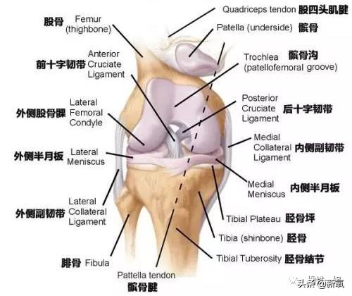 景甜减肥成功变回黑长直女神,景甜暴瘦
