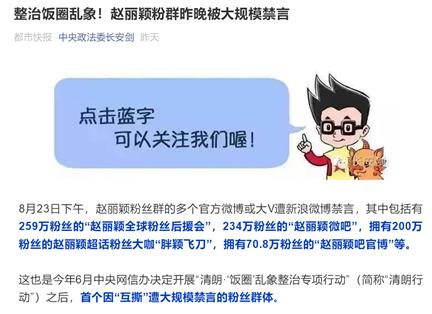 关于饭圈文化的正面案例,饭圈文化深入解读