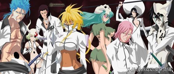 bleach死神十刃归刃,bleach死神所有卍解