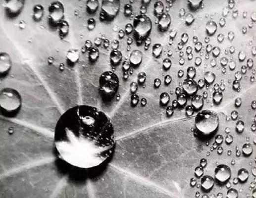 杰作是谁变的,杰作的诞生系列