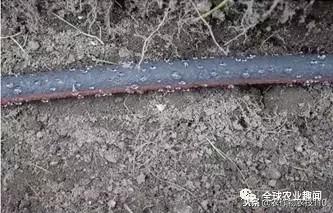 以色列用什么水和什么水灌溉农田,以色列进口水肥一体化灌溉设备