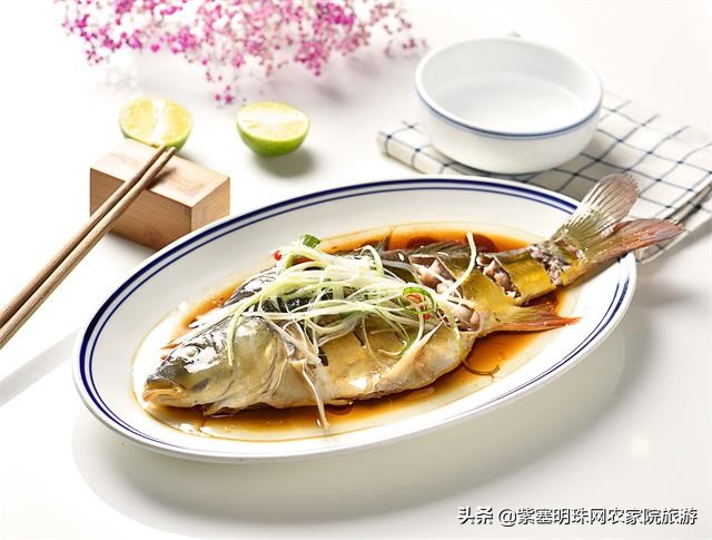 日照文豪渔家乐,日照渔家乐吴家台