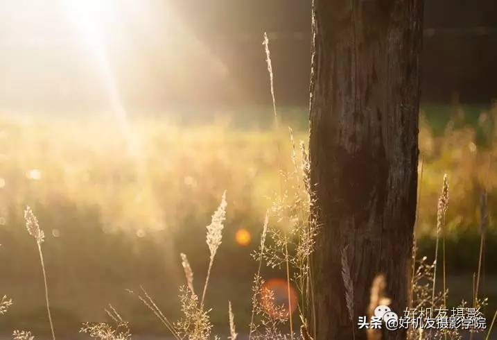 防眩光的正确调法技巧,简单四招提升短片氛围感