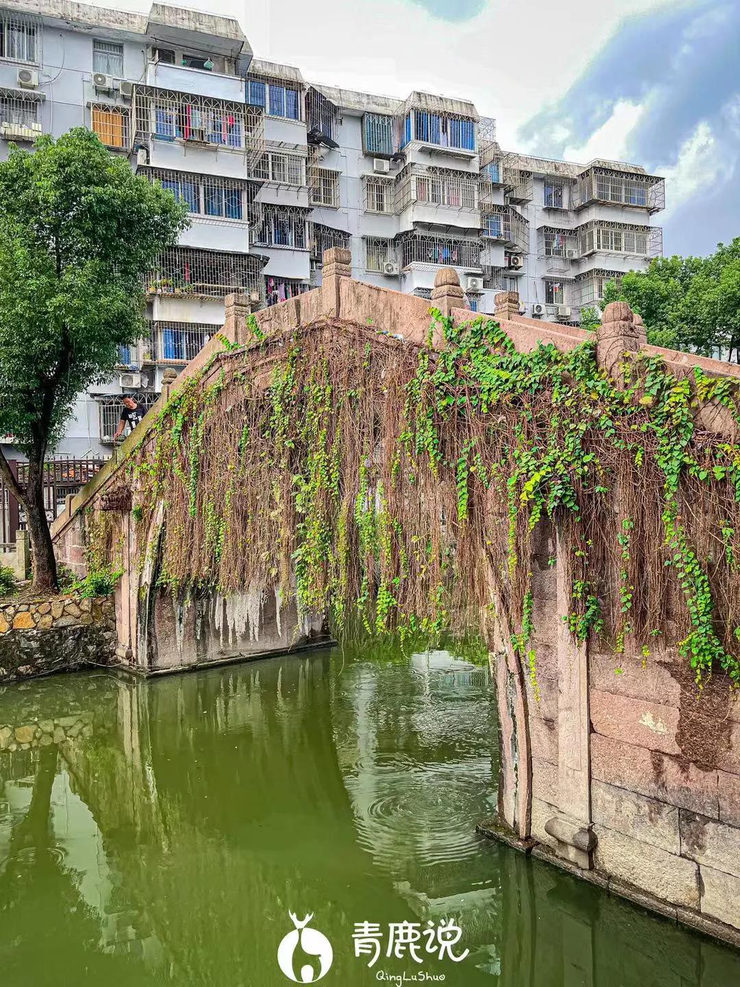 逛吃南塘老街尝遍甬城老底子味道,逛宁波南塘老街感想