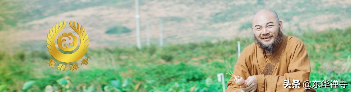 万行开示,万行法师讲福报