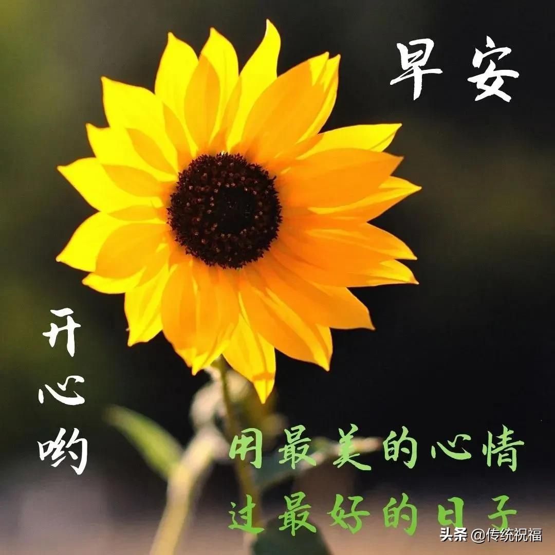 走得太急脚太累女生完整版说说,心累了早安