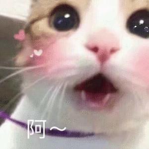 姐妹情深小猪佩奇表情包,无法自拔表情包小猪佩奇