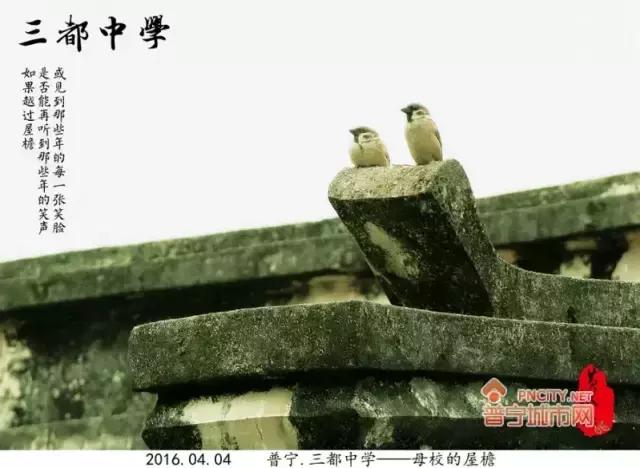 普宁三都中学怎么样,普宁都有哪些学校