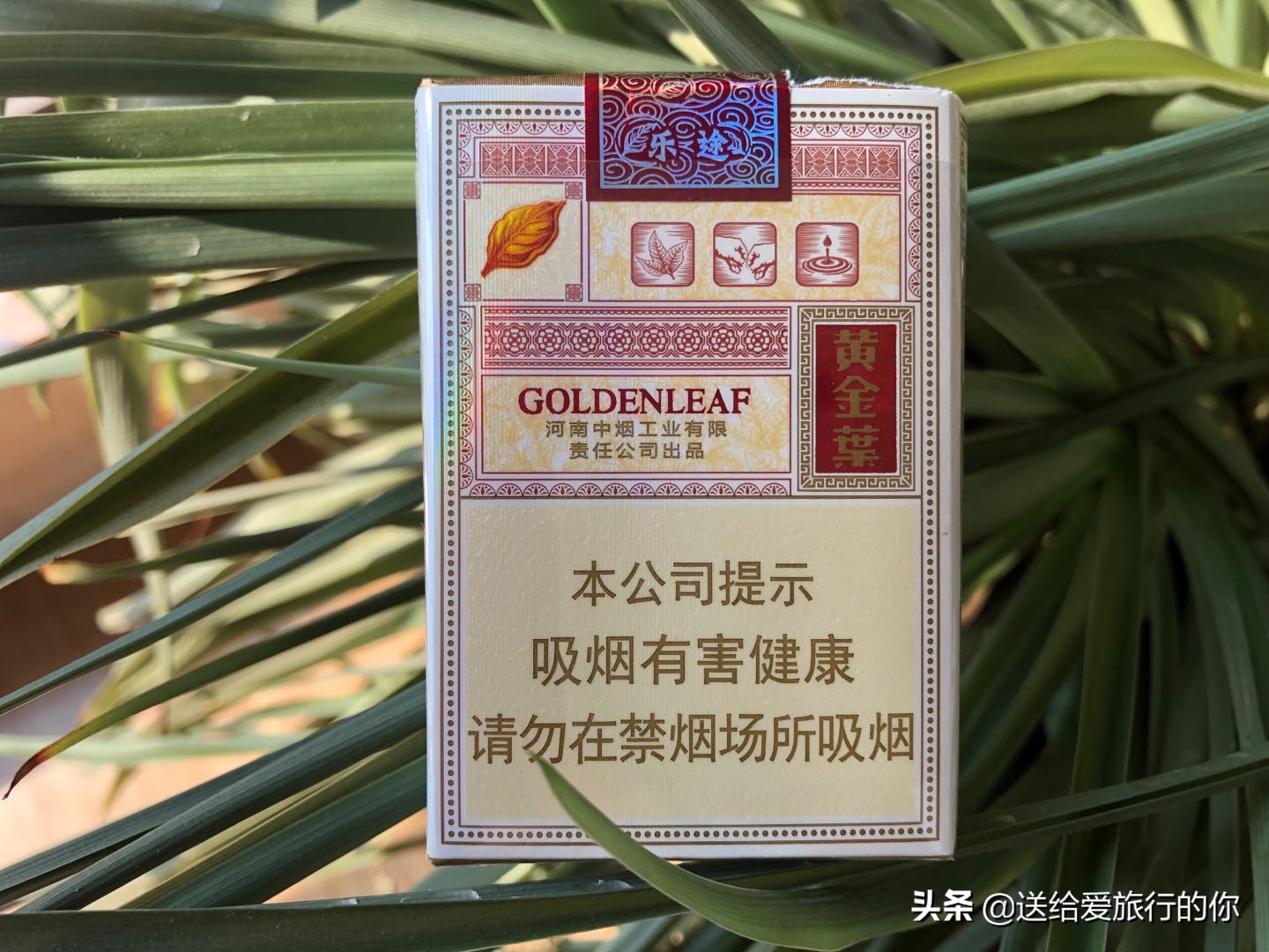 一支香烟,一支香烟英文