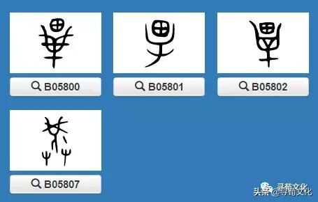 毕-汉字的艺术与中华姓氏文化荀卿庠整理