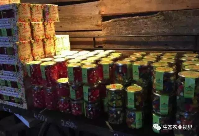 用一颗草莓吸引5百万游客,开5家主题乐园、4家超市、300个草莓屋