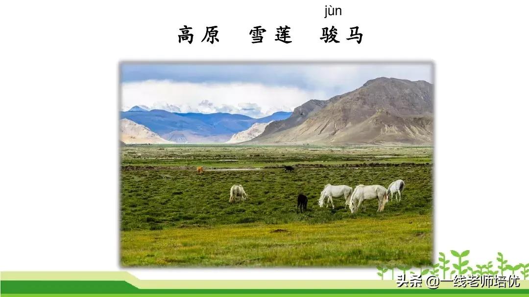 二年级上册语文园地七展示台教学,二年级上册语文园地七的日积月累