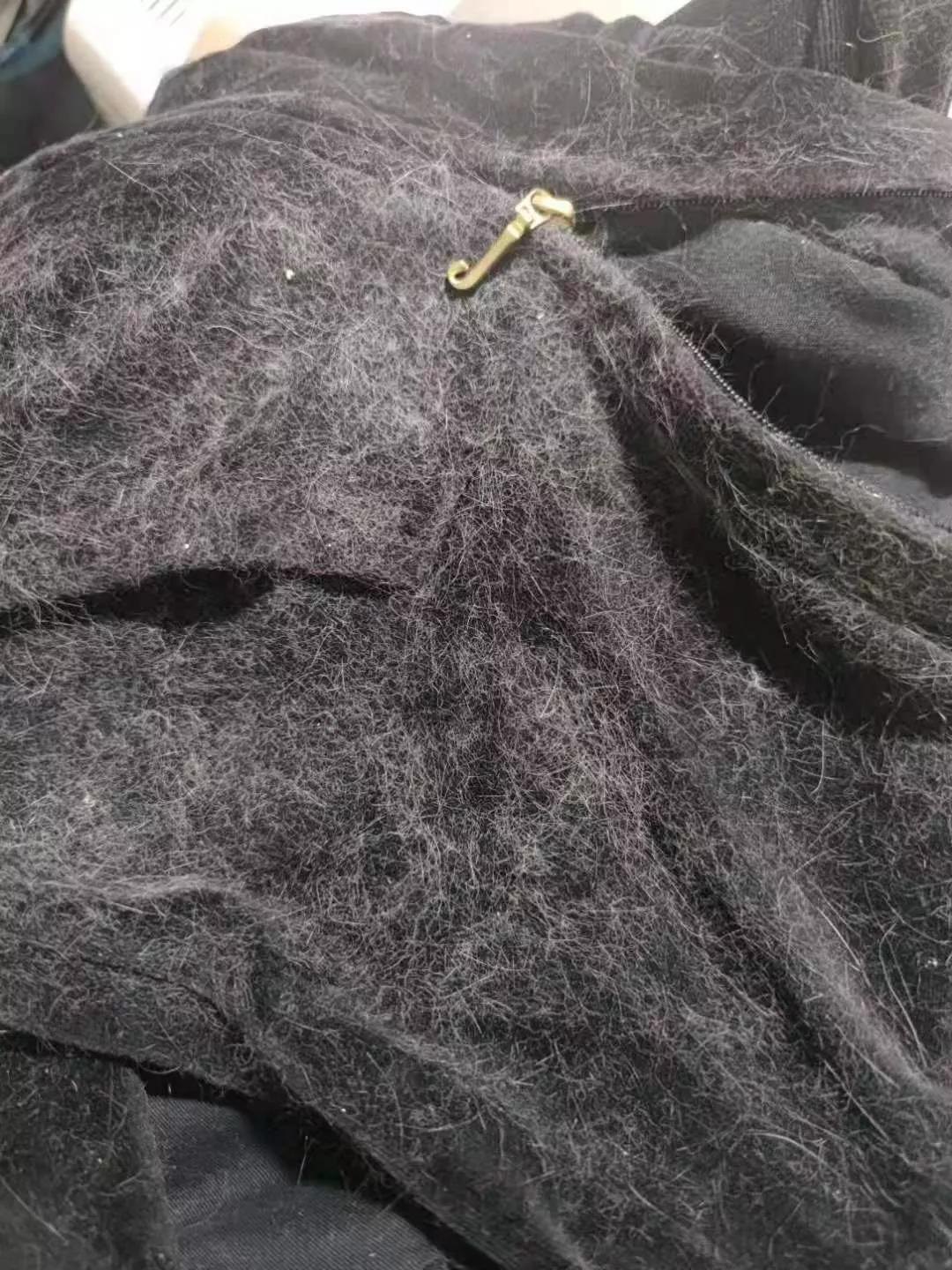 在路上捡回来的流浪猫给它洗澡,救助的流浪猫生病自己无能为力