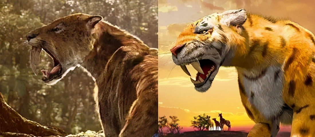 人类对猫的发展史,猫在人类发展历史的地位