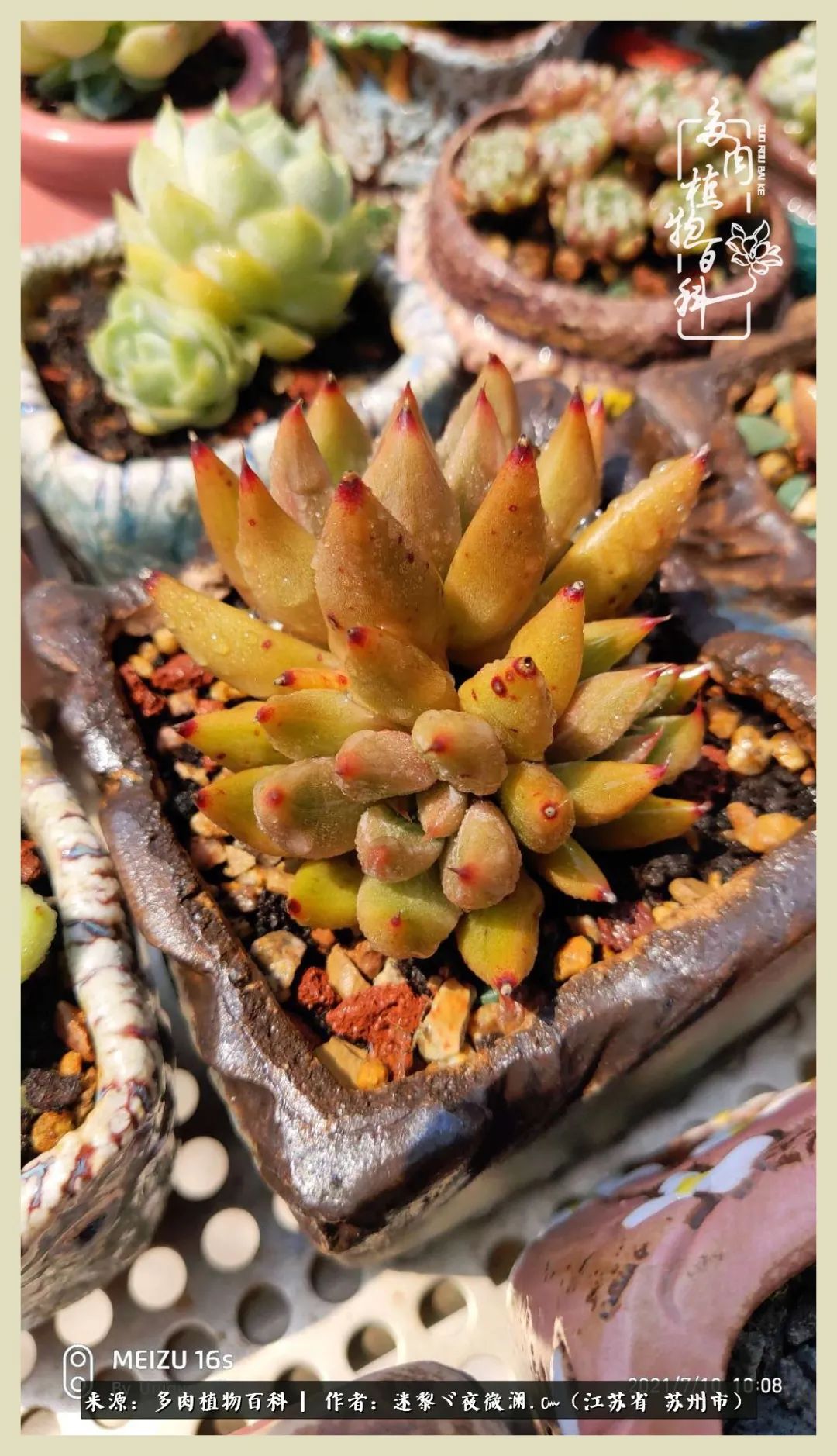 秋尽冬来岁月不居时节如流,岁月不居时节如流水