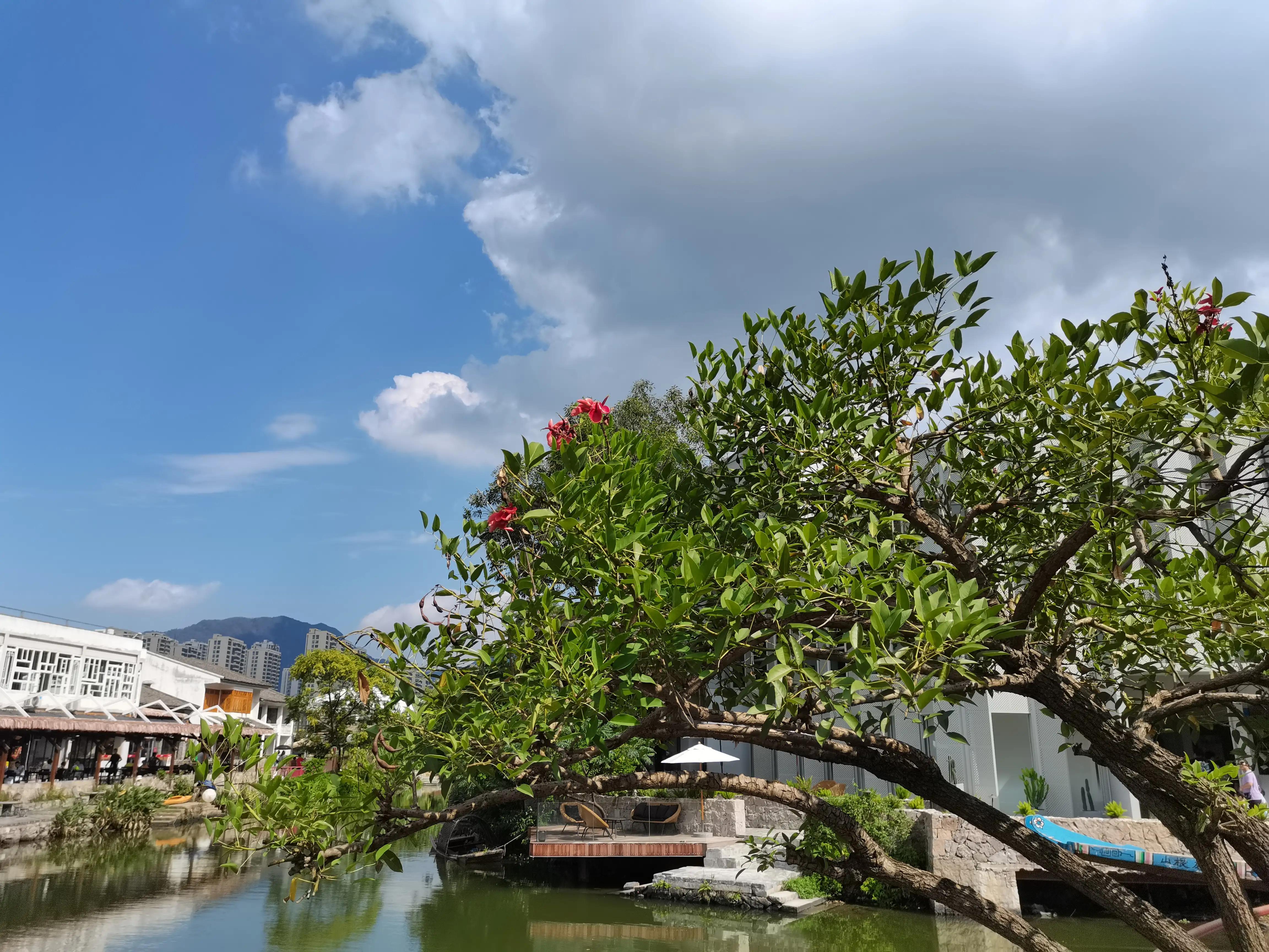 温州茶山风景区游玩攻略图,温州瓯海山根小村景区