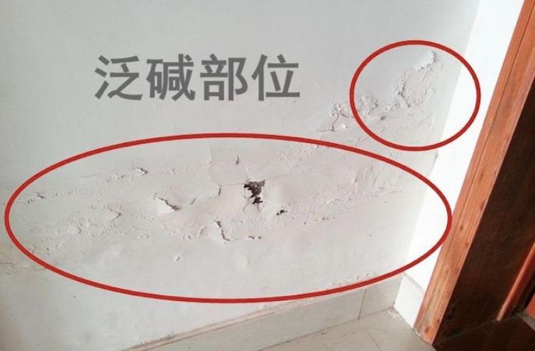 为什么师傅都建议腻子加胶水,怎么识别师傅有没有给腻子加胶水