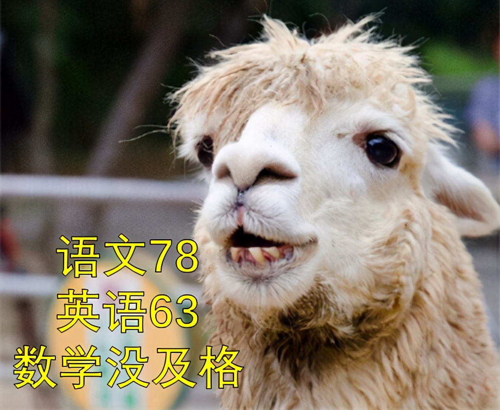 有些亲戚总是问你工资多少啊,亲戚问你工资多少怎么回