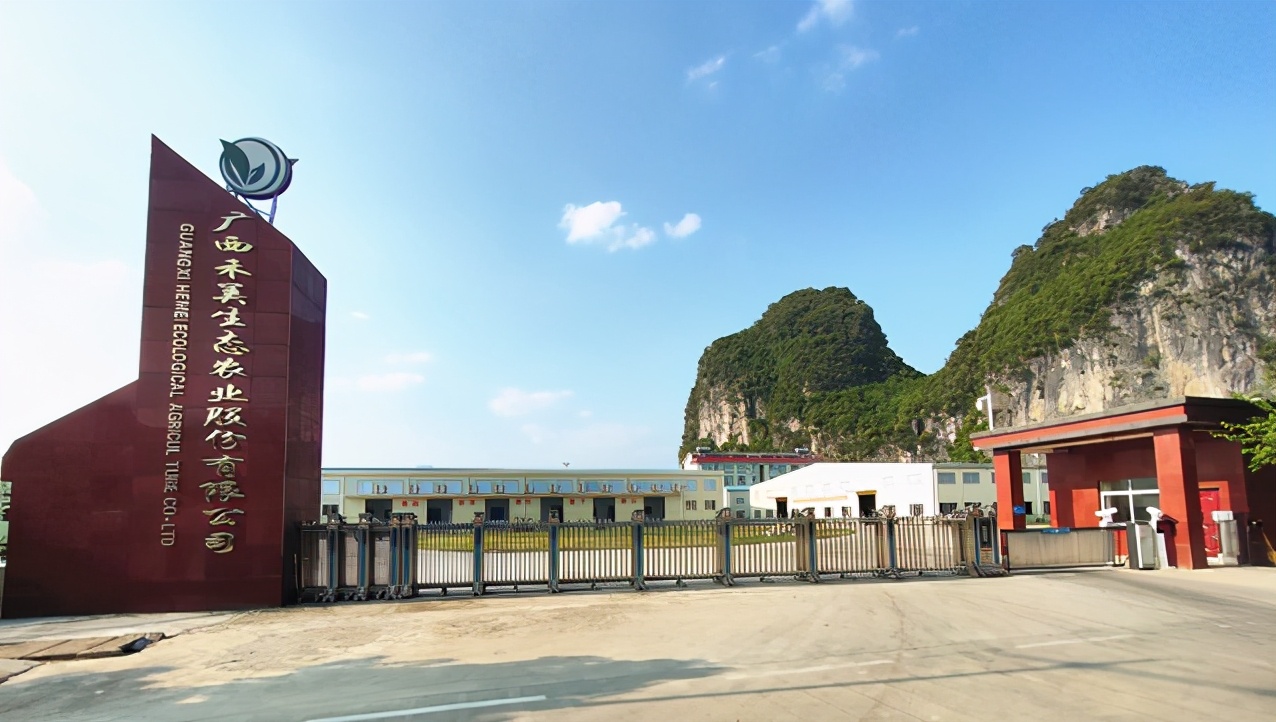 广西禾美农业有限公司,广西禾美生态农业